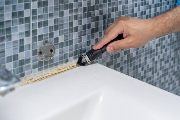 Best Mold Cleaning Services  in Belterra, TX