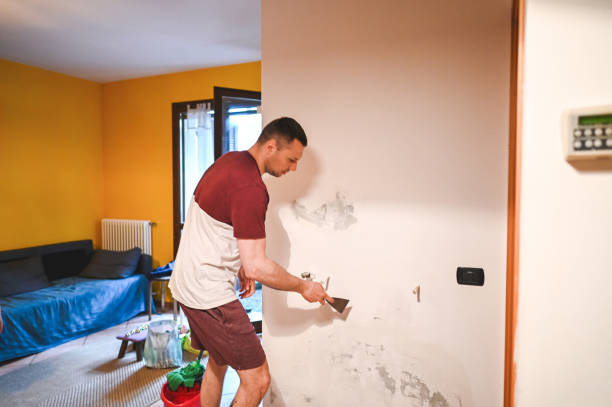 Certified Mold Removal in Belterra, TX